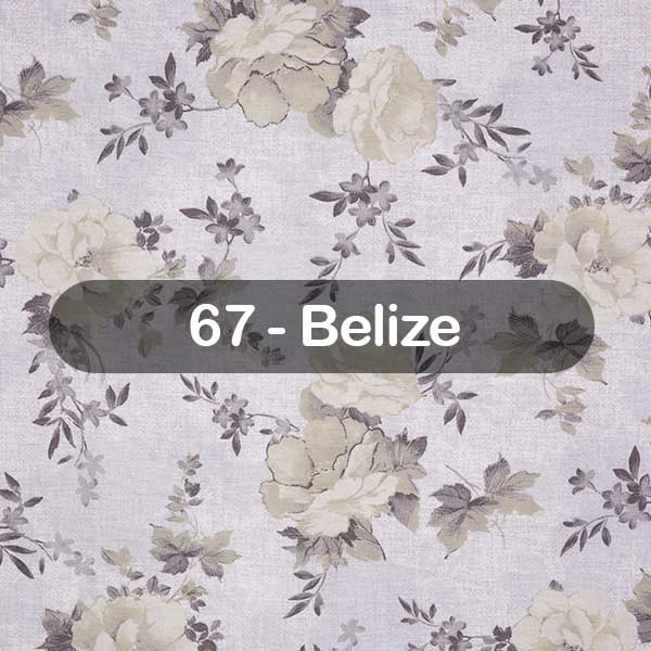 67 - Belize